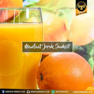 Manfaat Jeruk Sunkist