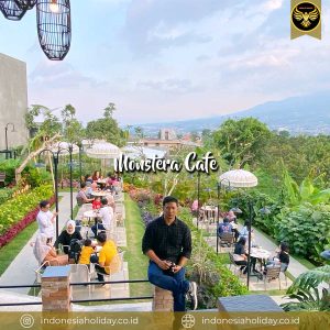 cafe monstera