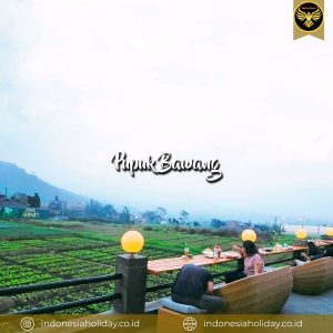 Pupuk bawang