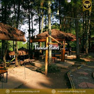 Taman Pinus
