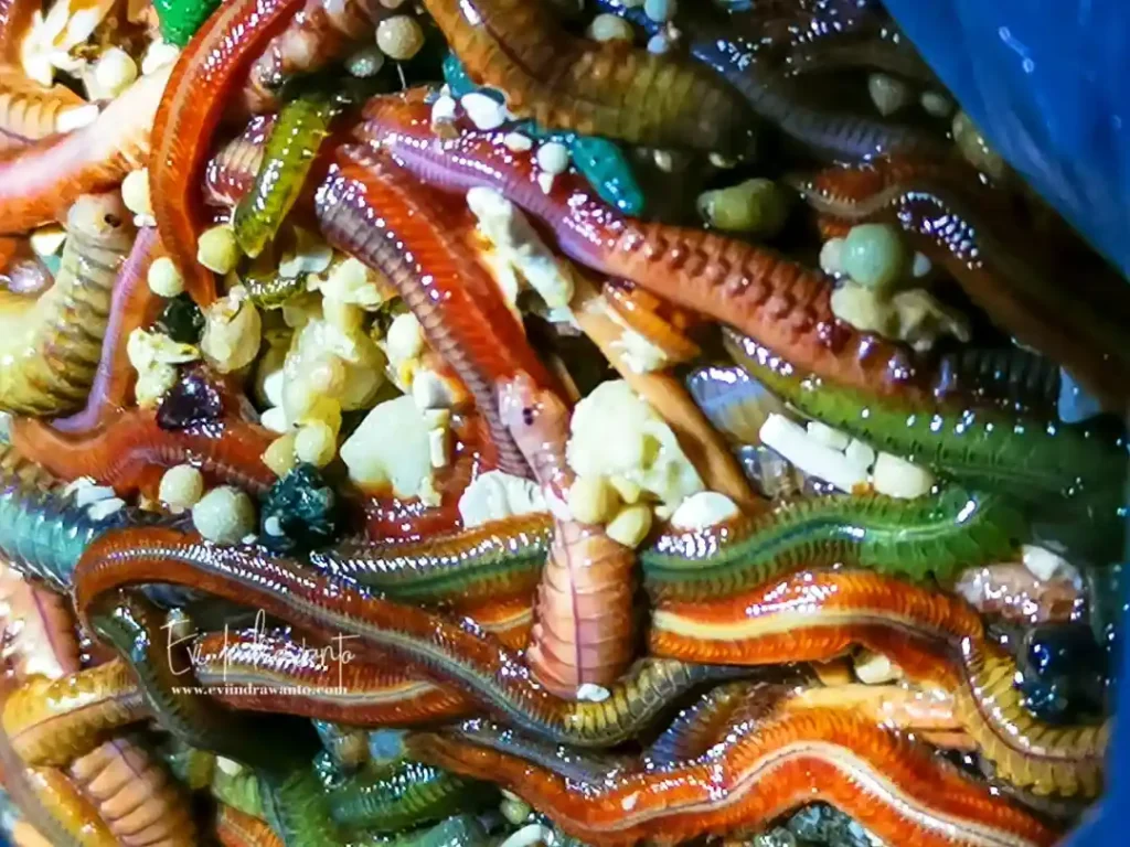 7 Makanan Ekstrem di Indonesia yang Menantang Petualang