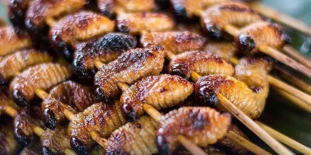 7 Makanan Ekstrem di Indonesia yang Menantang Petualang