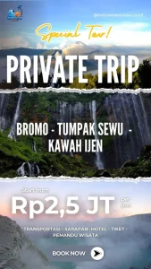 Private Trip Bromo Tumpak Sewu Kawah Ijen 3 Hari 2 Malam