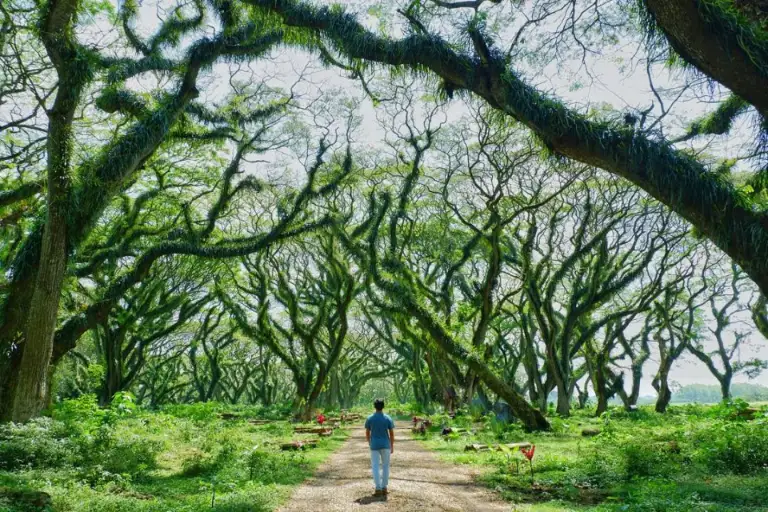 de djawatan forest